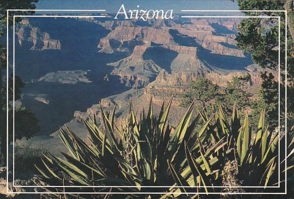 Grand Canyon National Park Arizona