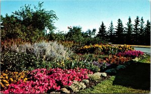 International Peace Garden North Dakota Manitoba Canada Postcard Postcard WOB  