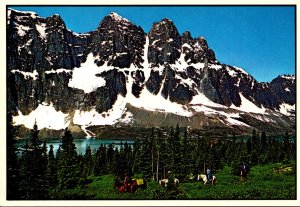 Canada Jasper National Park Tonquin Valley Trail Riders In The Canadian Rockies