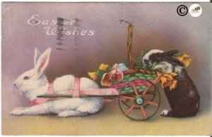 Real-life White & Black/White Easter Bunny in Basket Wagon Vintage Postcard