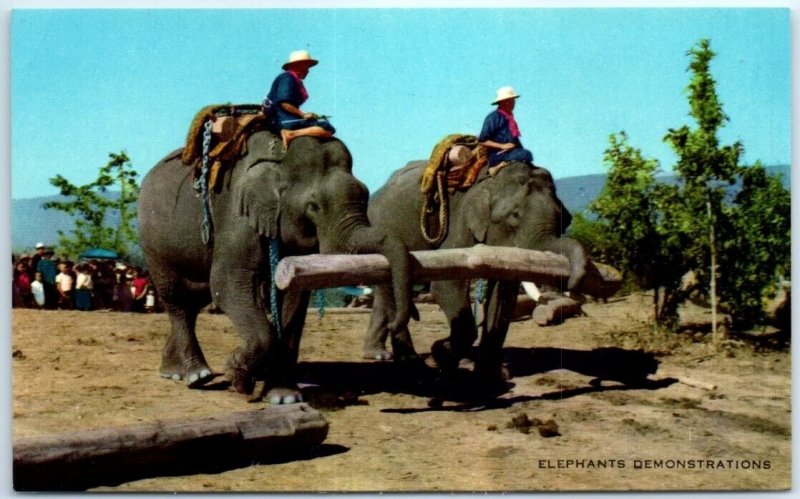 Postcard - Elephants Demonstrations - Chiengmai, Thailand