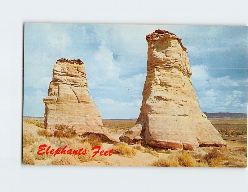 Postcard Elephants Feet, Tonalea, Arizona