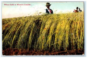 1912 Farmer in Wheat Fields in Western Warner Alberta Canada Postcard