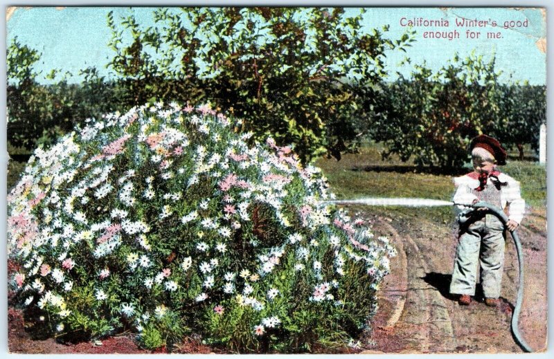 1909 California Winter's Good Enough for Me Boy Watering Flowers Postcard A82