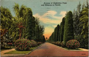 Vtg 1940s Avenue of Australian Pines and Hibiscus Florida FL Linen Postcard