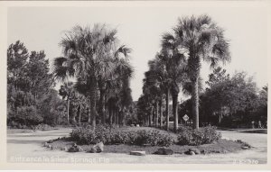 Florida Silver Springs Entrance Real Photo