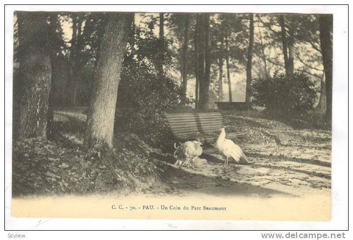 Un Coin Du Parc Beaumont, Pau (Pyrénées-Atlantiques), France, 1900-1910s