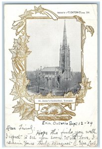 1904 St. James Cathedral Toronto Ontario Canada Animal Leaves Design Postcard