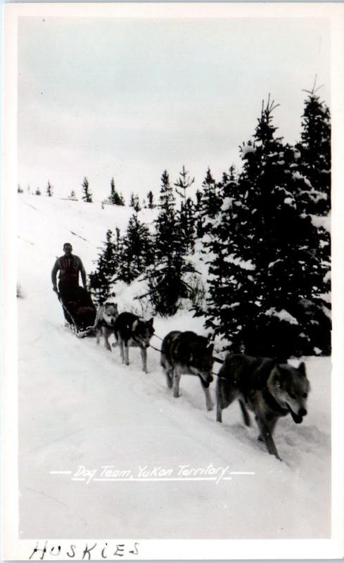 RPPC  YUKON TERRITORY, Canada  HUSKY  DOG TEAM   c1940s    Postcard