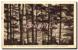 Old Postcard Echappee A Travers La Foret Covering Massif St Martin St Die