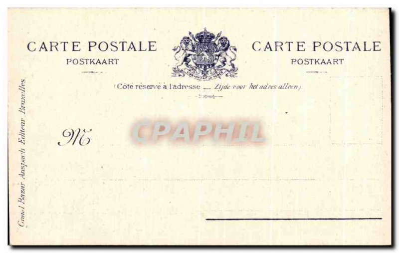 Brussels Old Postcard King's House