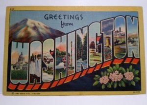 Greetings From Washington Large Letter Linen Postcard Unused Mountains Flowers