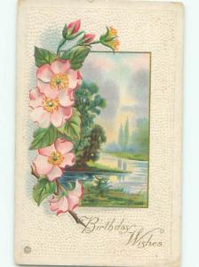 Divided-Back BEAUTIFUL FLOWERS SCENE Great Postcard AA3194