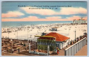 1940-50's WILDWOOD NJ PLAYLAND CONVENTION HALL PUTT PUTT GOLF BEACH POSTCARD