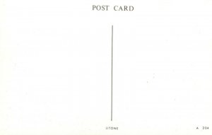 Surrey Postcard - The Sailor's Grave, Thursley, Hindhead (Repro)  RS24125