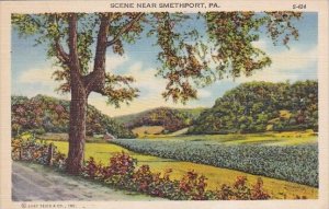 Pennsylvania Smethport Scene Near Smethport 1947