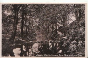 Northumberland Postcard - Stepping Stones - Jesmond Dene - Newcastle  Ref TZ5898