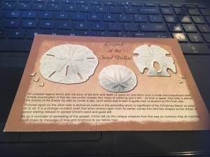 Vtg Postcard: - Legend of the Sand Dollar