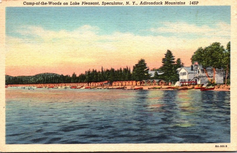 New York Adirondacks Speculator Camp-Of-The-Woods On Lake Pleasant 19452 Curt...