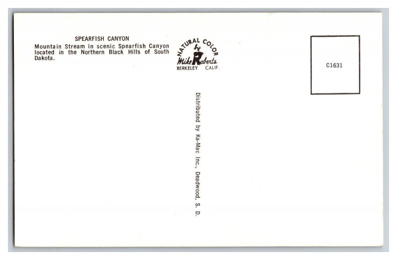 Postcard SD Spearfish Canyon Black Hills South Dakota 