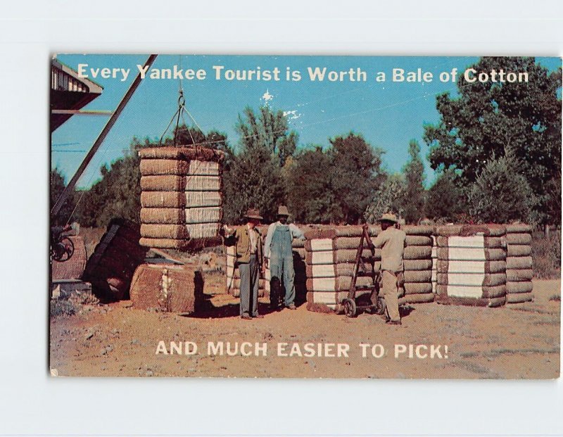 Postcard Every Yankee Tourist is Worth a Bale of Cotton And Much Easier To Pick!