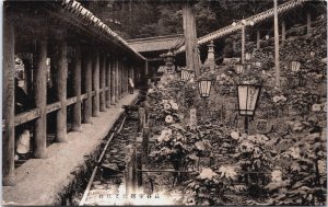 Japan Tanicho Temple Vintage Postcard C199