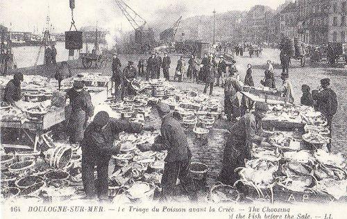 Boulogne Sur Mer Le Triage Du Poisson Fish Market Vintage French View Postcard