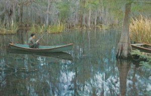 Serenity Fishing In The Deep South Of Louisiana