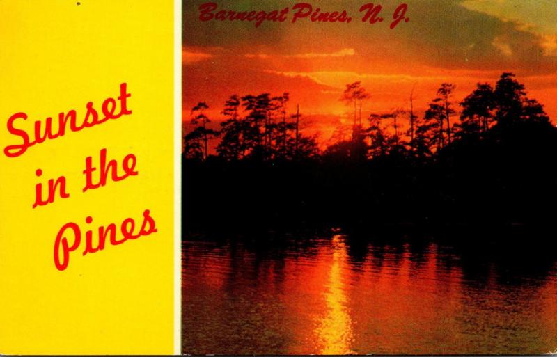 New Jersey Barnegat Pines Sunset In The Pines 1966