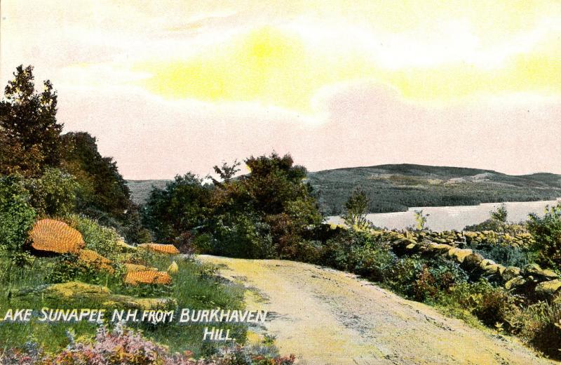 NH - Lake Sunapee. The View from Burkehaven Hill  