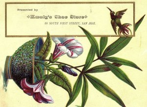 1880's Lovely Morning Glories Vase Koenig's Shoe Store Victorian Trade Card *L