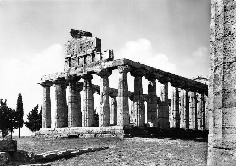 BG30801 paestum museo tempio di athena   italy   CPSM 14.5x10cm