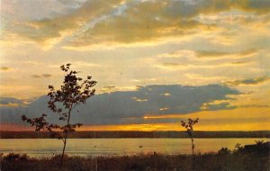 Unidentified View Postcard