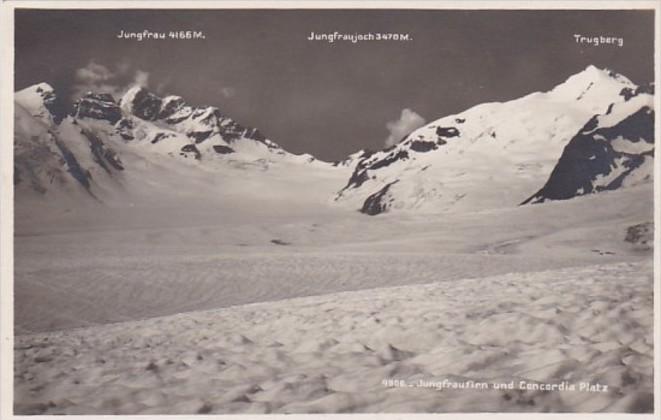 Switzerland Jungfraufirn und Concordia Photo