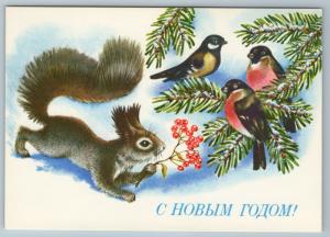 Squirrel and birds on a Tree branch Bullfinch New Year Russian Unposted postcard