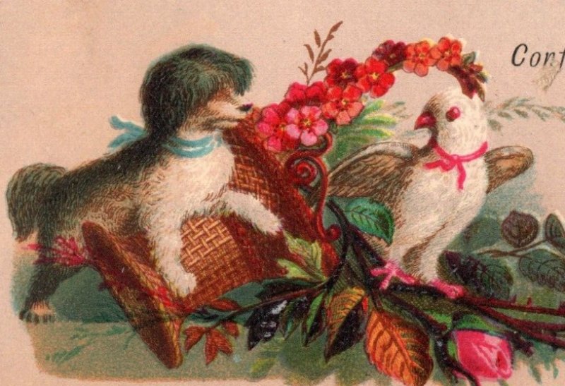 1880s C.E. Osborne Confectionery Cakes & Toys Cute Fluffy Dog & Bird P197