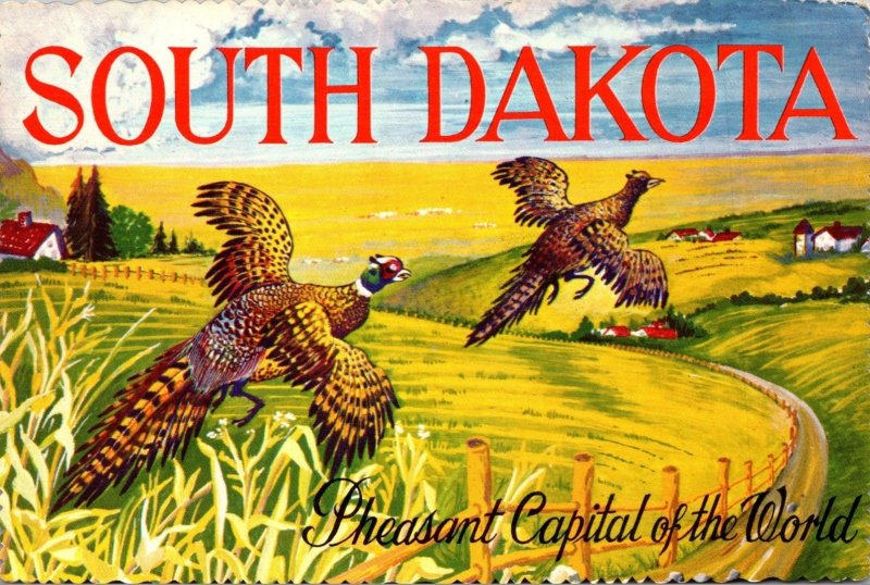 South Dakota Pheasant Capitol Of The World