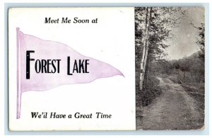 1915 Campbellsport WI Forest Lake Purple Pennant Minnesota MN Posted Postcard