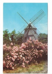 Windmill, Eastham, Cape Cod, Massachusetts, Vintage 1965 Chrome Postcard