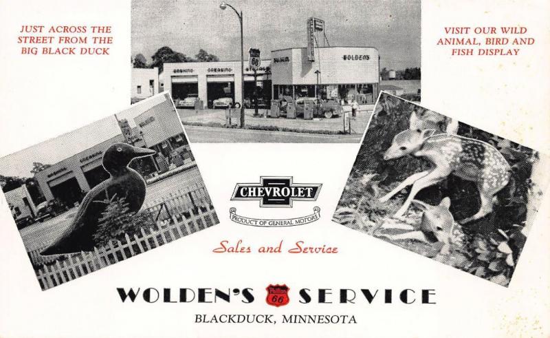 Blackduck MN Wolden's 66 Service Chevrolet Dealership Dexter Press Postcard