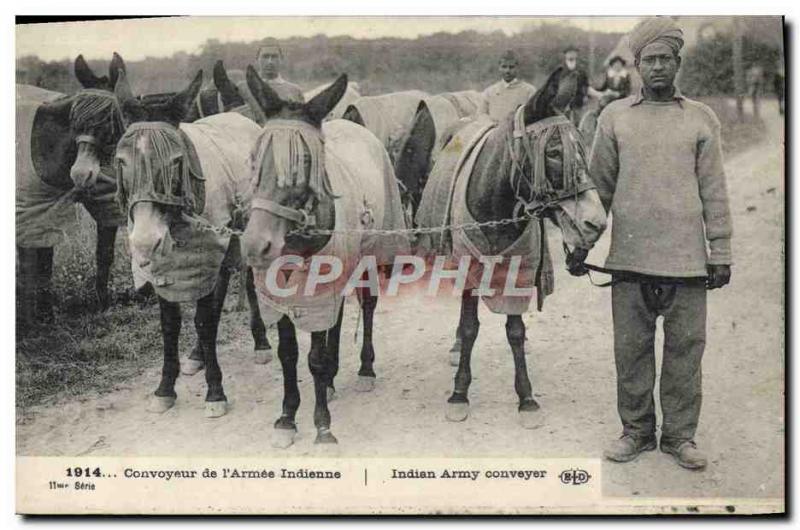 Old Postcard Donkey Mule conveyor of & # 39armee Indian Army