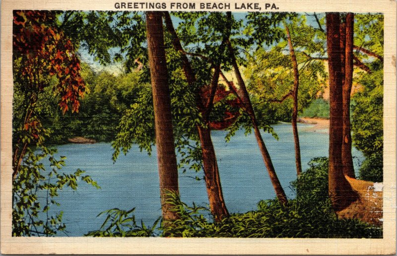 Vtg 1940 Greetings from Beach Lake Pennsylvania PA Linen Postcard