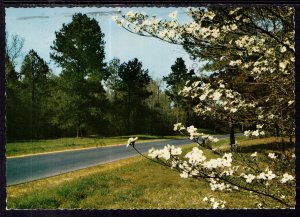 Natchez Trace Parkway,MS BIN