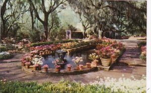 Alabama Mobile The Fountain and Pool In Main Courtyard Bellingrath Gardens