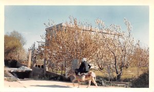 Non Postcard Backing, Dated 4-12-1966 Chtaura, Lebanon , Carte Postale writin...