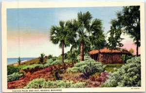 M-96265 Thatch Palm And Hut Nassau Bahamas