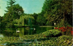 Postcard BC Victoria Beacon Hill Park Swans Water Lilies 1960s K52