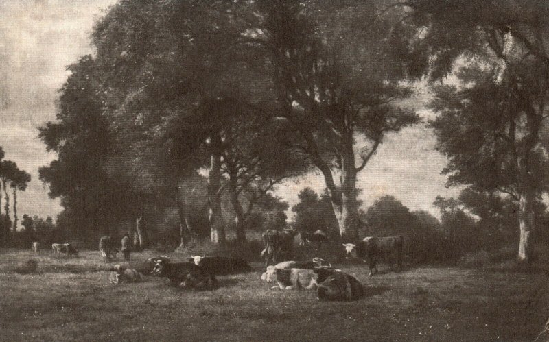 Vintage Postcard Pasture on the Road from Honfleur to Villerville Constant Troyo