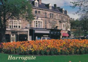 Harrogate Weatherell Antiques Shop Postcard