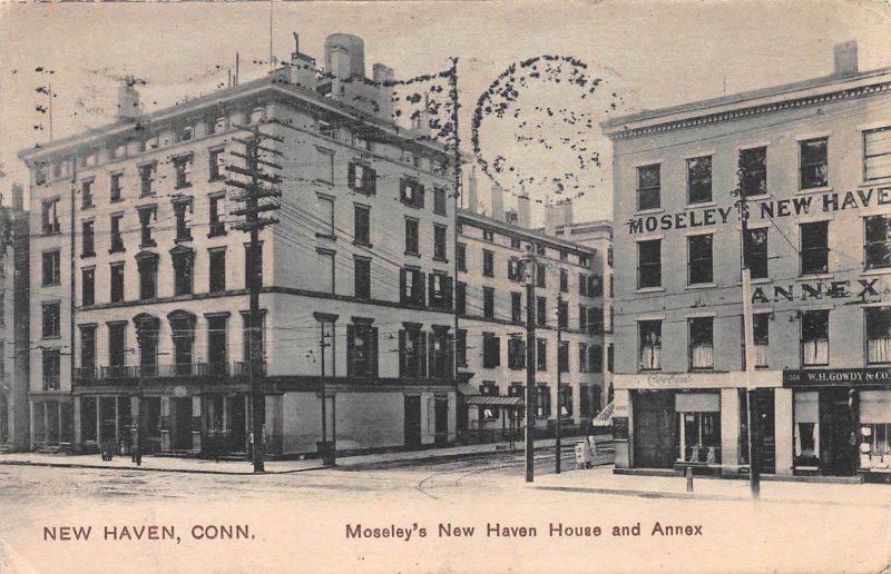 Moseley's New Haven House, New Haven, Connecticut, Early Postcard, Used in 1910
